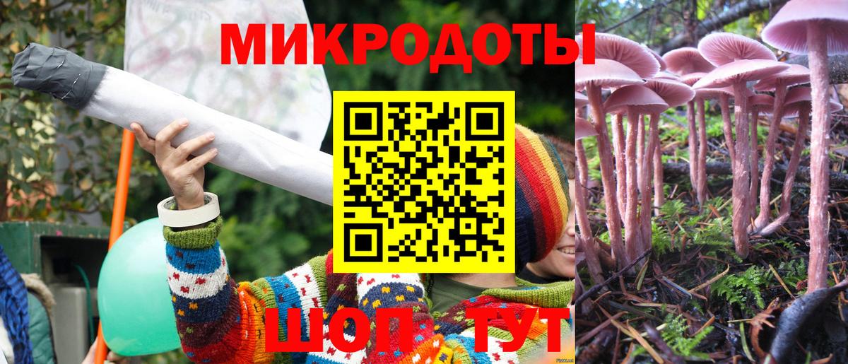 Псилоцибиновые грибы GOLDEN TEACHER Еманжелинск