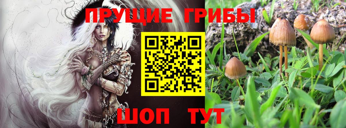 Псилоцибиновые грибы MAGIC MUSHROOMS  Вход с VPN  Еманжелинск 